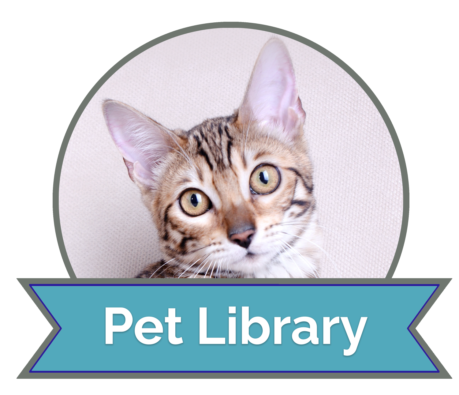 California vet hospital offers the VIN Client Information Library