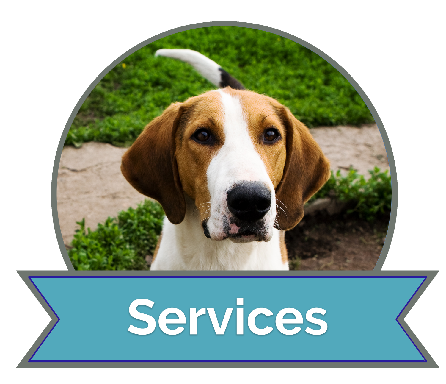 services button