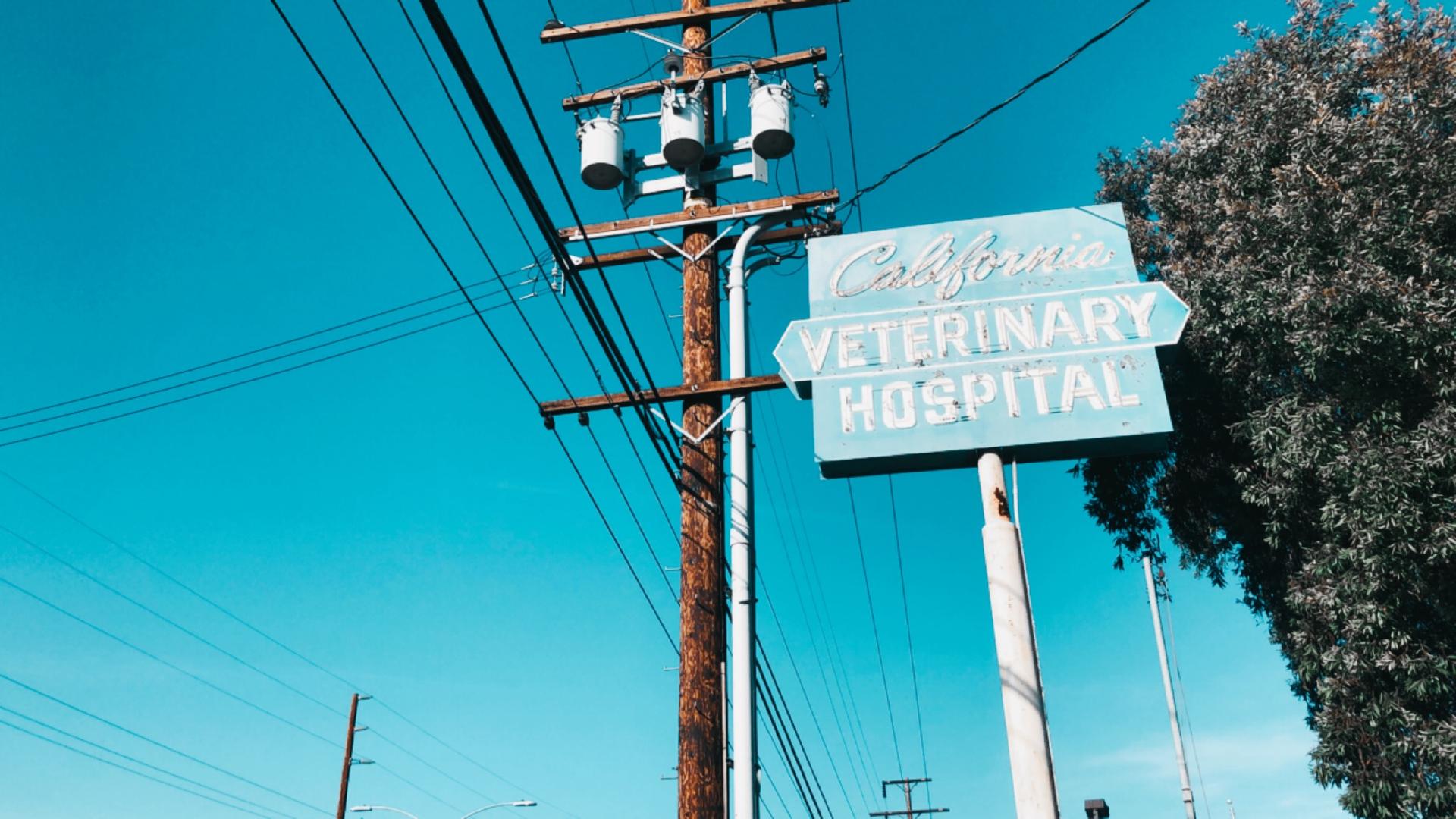 California Veterinary Hospital Sign