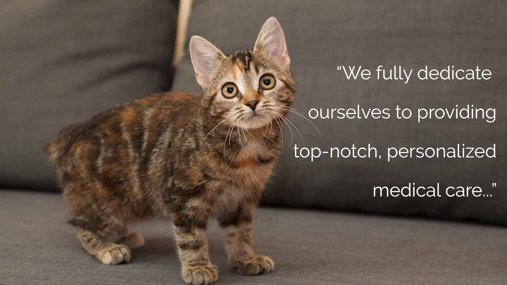 We fully dedicate ourselves to providing top-notch personalized medical care